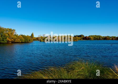 Henley Lake in Masterton, Neuseeland Stockfoto