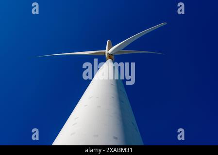 West Wind Farm in Wellington - Neuseeland Stockfoto