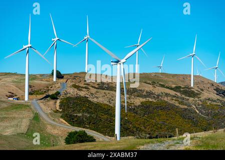 West Wind Farm in Wellington - Neuseeland Stockfoto