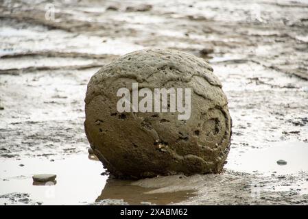 Sphärischer Boulder am Tongaporutu River - Neuseeland Stockfoto