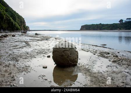 Sphärischer Boulder am Tongaporutu River - Neuseeland Stockfoto