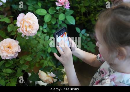 Riga, Lettland. Juni 2024. Ein Mädchen fotografiert Rosen bei der Ausstellung „Roses 2024“ im Lettischen Naturkundemuseum in Riga, Lettland, 5. Juni 2024. Die Ausstellung findet jährlich im Lettischen Naturkundemuseum statt. In diesem Jahr werden mehr als 100 Rosensorten ausgestellt. Quelle: Edijs Palens/Xinhua/Alamy Live News Stockfoto