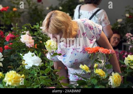 Riga, Lettland. Juni 2024. Eine Frau riecht Rosen bei der Ausstellung „Roses 2024“ im Lettischen Naturkundemuseum in Riga, Lettland, 5. Juni 2024. Die Ausstellung findet jährlich im Lettischen Naturkundemuseum statt. In diesem Jahr werden mehr als 100 Rosensorten ausgestellt. Quelle: Edijs Palens/Xinhua/Alamy Live News Stockfoto