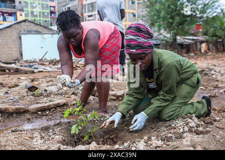 Nairobi, Kenia. Juni 2024. Die Einwohner des Kiamako-Slums nehmen an der Pflanzung eines Baumes in der Nähe eines Standorts von Häusern Teil, die durch Überschwemmungen am Ufer des Mathare-Flusses zerstört wurden. Die Feierlichkeiten zum Weltumwelttag werden jährlich am 5. Juni gefeiert und fördern das Bewusstsein und die Maßnahmen für den Umweltschutz. Das Thema von 2024 ist Landsanierung, Wüstenbildung und Dürreresistenz. Quelle: SOPA Images Limited/Alamy Live News Stockfoto