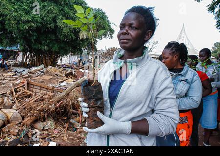 Nairobi, Kenia. Juni 2024. Ein Bewohner des Kiamako-Slums bereitet sich darauf vor, an der Pflanzung eines Baumes in der Nähe eines Standorts von Häusern teilzunehmen, die durch Überschwemmungen am Ufer des Mathare-Flusses zerstört wurden, während der Feierlichkeiten zum Weltumwelttag am 5. Juni jährlich gefeiert werden, und ermutigt zur Bewusstseinsbildung und zu Maßnahmen zum Schutz von die Umwelt. Das Thema von 2024 ist Landsanierung, Wüstenbildung und Dürreresistenz. Quelle: SOPA Images Limited/Alamy Live News Stockfoto