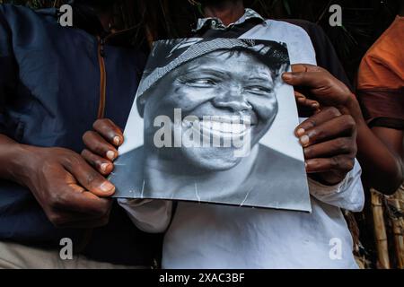 Nairobi, Kenia. Juni 2024. Ein Porträt des Friedensnobelpreisträgers, Umweltschützers und Menschenrechtsaktivisten Wangari Maathai 2004, vor einer Baumpflanzübung während einer Veranstaltung anlässlich des Weltumwelttages 2024 im Kiamaiko-Slum in Nairobi, Kenia, am 5. Juni 2024. Quelle: SOPA Images Limited/Alamy Live News Stockfoto