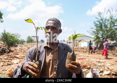 Nairobi, Kenia. Juni 2024. Ein Bewohner des Kiamako-Slums bereitet sich darauf vor, an der Pflanzung eines Baumes in der Nähe eines Standorts von Häusern teilzunehmen, die durch Überschwemmungen am Ufer des Mathare-Flusses zerstört wurden, während der Feierlichkeiten zum Weltumwelttag am 5. Juni jährlich gefeiert werden, und ermutigt zur Bewusstseinsbildung und zu Maßnahmen zum Schutz von die Umwelt. Das Thema von 2024 ist Landsanierung, Wüstenbildung und Dürreresistenz. (Foto: Boniface Muthoni/SOPA Images/SIPA USA) Credit: SIPA USA/Alamy Live News Stockfoto