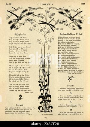 Seite alter deutscher Gedichte, Libelle und Wildblumen, Jugendstil, 1890er Jahre, 19. Jahrhundert Stockfoto