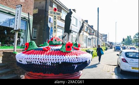 Brighton UK 6. Juni 2024 - Eine Briefkiste in Woodingdean bei Brighton wurde mit einer gestrickten Hommage an den 80. Jahrestag des D-Day geschmückt, da heute in ganz Großbritannien und Frankreich Gedenkfeiern stattfinden: Credit Simon Dack / Alamy Live News Stockfoto