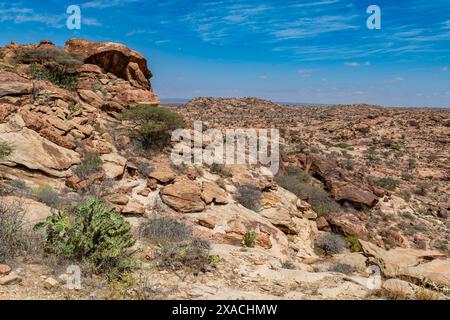 Outlook from the Rock Art Paintings of Laas Geel, nahe Hargeisa, Somaliland, Somalia, Afrika Copyright: MichaelxRunkel 1184-11437 Stockfoto