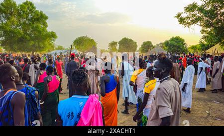 Einheimische bei einer traditionellen Hochzeit in Dinka, Bor, Zentralregion, Südsudan, Afrika Copyright: MichaelxRunkel 1184-11455 nur redaktionelle Verwendung Stockfoto