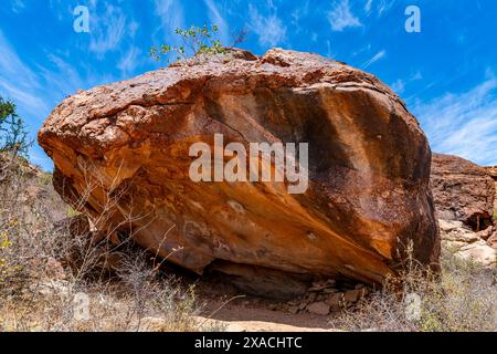 Felskunst von Laas Geel, nahe Hargeisa, Somaliland, Somalia, Afrika Copyright: MichaelxRunkel 1184-11448 Stockfoto