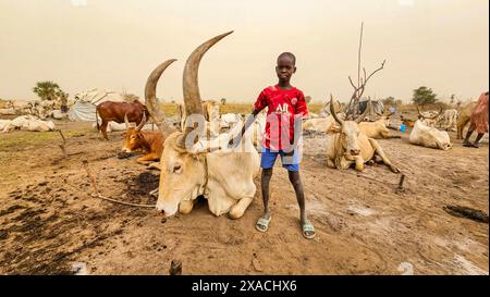 Junge mit gehörnten Rindern, Dinka-Rinderlager, Bor, Zentralregion, Südsudan, Afrika Copyright: MichaelxRunkel 1184-11466 nur redaktionelle Verwendung Stockfoto