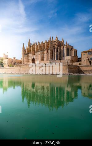 La Seu Kathedrale Santa Maria von Palma, Mallorca, Spanien mit See vor der Tür, perfekte Reflexion auf der Wasseroberfläche bei Sonnenuntergang, vertikale Aufnahme, Mallorca Stockfoto