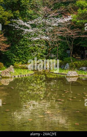 Okazaki Park im Heian Jingu Schrein, Kyoto, Honshu, Japan, Asien Copyright: MichaelxRunkel 1184-11608 Stockfoto