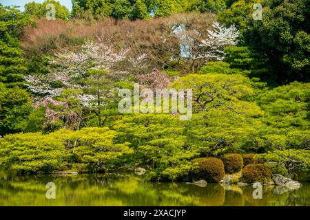Okazaki Park im Heian Jingu Schrein, Kyoto, Honshu, Japan, Asien Copyright: MichaelxRunkel 1184-11619 Stockfoto