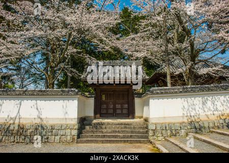 Nanzen-JI Temple, Kyoto, Honshu, Japan, Asien Copyright: MichaelxRunkel 1184-11628 Stockfoto