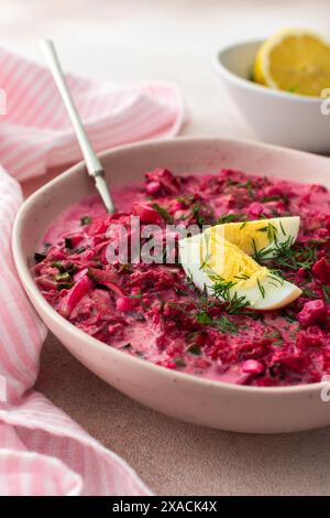 Sommer kalte Rote-Bete-Suppe aus Rüben, Radieschen, Gurken, Kartoffeln und Kräutern, garniert mit Ei, ein erfrischendes Mittagessen im Sommer Stockfoto