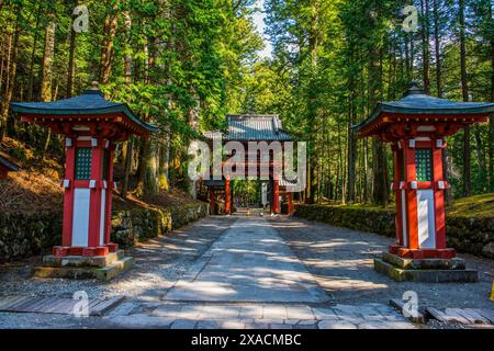 Eingangstor zum Futarasan-Schrein, UNESCO-Weltkulturerbe, Nikko, Präfektur Tochigi, Kanto, Honshu, Japan, Asien Copyright: MichaelxRunkel 118 Stockfoto