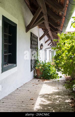 Fotografie eines alten traditionellen alpinen Bauernhauses mit weißen Wänden, rotem Ziegeldach, grünen Fensterrahmen und Grün in der Nähe Stockfoto