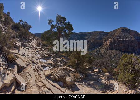 Der sehr felsige Pfad des ungepflegten Hermit Canyon Trail am Grand Canyon im Winter mit dem Waldron Canyon auf der linken Seite, dem Grand Canyon Stockfoto