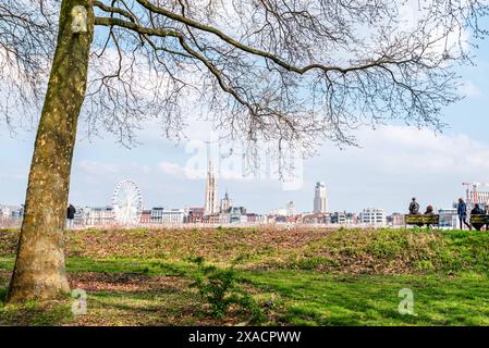 Blick auf die Skyline von Antwerpen über den Fluss Schelde von einem Park, Scheldekaaien Linkeroeve, Antwerpen, Belgien, Europa Copyright: CasparxSchlageter 1 Stockfoto