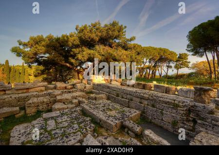 HDR-Foto, Überreste des Tempels Athena Polias, antike Steinruinen umgeben von Bäumen und sonnigem Himmel, Filerimos, Hügel nicht weit von Rhodos Stadt, Antike Stockfoto