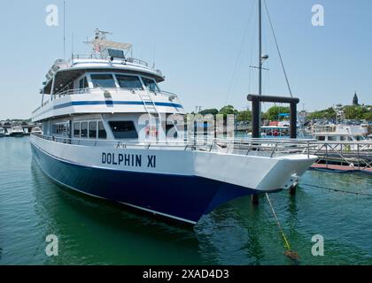 Walbeobachtungsboot, Provincetown, Cape Cod, Massachusetts, Vereinigte Staaten von Amerika Stockfoto