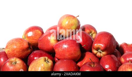 Haufen frischer Äpfel mit Wassertropfen isoliert auf weiß Stockfoto