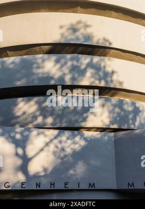 New York City, USA - 25. August 2017: Schatten eines Baumes an der Fassade des Solomon R. Guggenheim Museums, 1071 Fifth Avenue, man Stockfoto