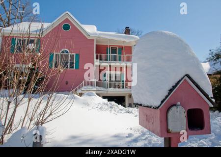 Ein schneebedecktes Haus und Postfach in der Nähe von Washington, DC, während des Winterschneesturms 2010. Stockfoto
