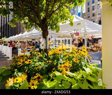 New York City, USA – 25. August 2017: Farmers Market im Rockefeller Center mit einem Baum und Blumen im Vordergrund. Stockfoto