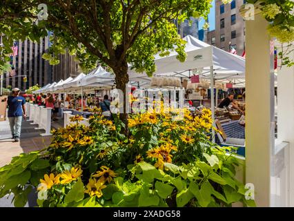 New York City, USA – 25. August 2017: Farmers Market im Rockefeller Center mit einem Baum und Blumen im Vordergrund. Stockfoto