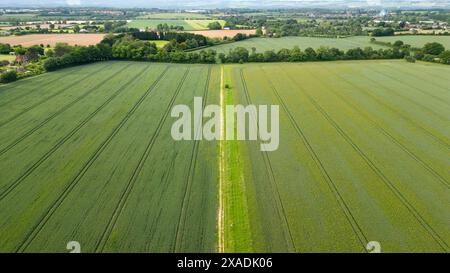 Aus der Vogelperspektive auf das Ackerland und den Weald of Kent mit Blick nach Norden von oberhalb des Dorfes Chart Sutton, Kent. Anfang Juni, Kent, Großbritannien. Stockfoto