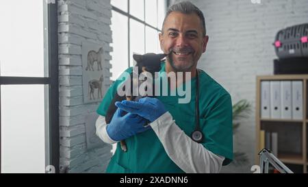 Männlicher Tierarzt mittleren Alters in einer Klinik, die einen chihuahua-Hund im Haus hält und Tierpflege und Veterinärdienst vorstellt. Stockfoto