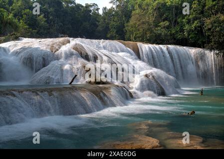 Mexiko, Chiapas, in der Nähe von palenque, Rio Tulija, Agua Azul de Nacional Parque Stockfoto