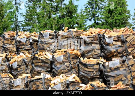 Stapel von geschnittenem und gespaltenem Brennholz, gelagert in großen, schweren Netztüten mit Nadelwald im Hintergrund. Stockfoto