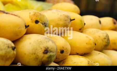 Ein Haufen gelber Mangos. Der Haufen ist sehr hoch und die Mangos sind reif Stockfoto