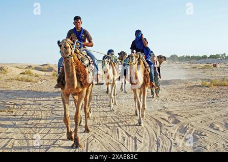 Kamelzug, Sahara-Wüste, Douz, Gouvernement Kebili, Tunesien Stockfoto