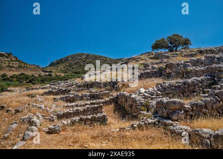 Ruinen der minoischen Stadt Gournia, Bronzezeit, Ostkreta, Griechenland Stockfoto