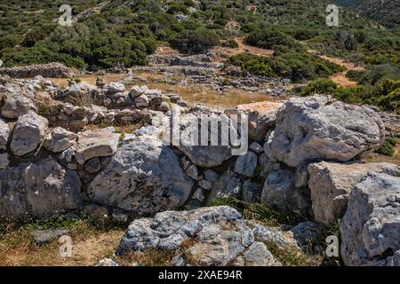 Ruinen der minoischen Stadt Gournia, Bronzezeit, Ostkreta, Griechenland Stockfoto