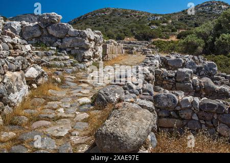 Ruinen der minoischen Stadt Gournia, Bronzezeit, Ostkreta, Griechenland Stockfoto