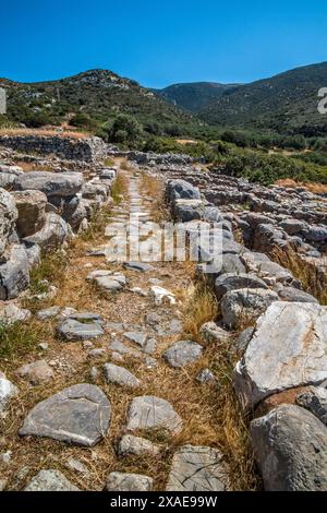 Ruinen der minoischen Stadt Gournia, Bronzezeit, Ostkreta, Griechenland Stockfoto