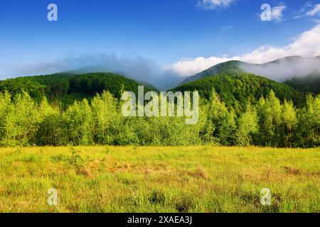 Berglandschaft der ukraine im Sommer. Landschaft der karpaten unter blauem Himmel mit Wolken und Nebel im Morgenlicht. Forest Be Stockfoto