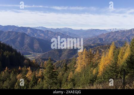 Panoramaaufnahmen von alpinen Bergen zu einem Tal und Wald am sonnigen Herbsttag Stockfoto