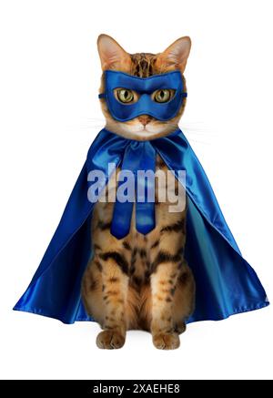 Eine bezaubernde rote Katze in einem blauen Superheldenkostüm sitzt auf weißem Hintergrund. Cat - Superheld isoliert. Stockfoto