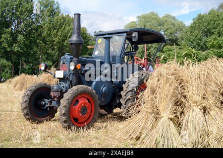 22.07.2012 Lanz Bulldog Deutschland/ Sachsen Anhalt/ Altmark/ Altmarkkreis Salzwedel/ Diesdorf/ Freilichtmuseum/ historische Getreideernte/ Traktor/ Trecker/ Lanz Bulldog/ ***Nutzung nur redaktionell*** *** 22 07 2012 Lanz Bulldog Deutschland Sachsen Anhalt Altmark Altmarkkreis Salzwedel Diesdorf Freilichtmuseum historischer Getreidetraktor Lanz Bulldog nur zu redaktionellen Zwecken verwenden Stockfoto