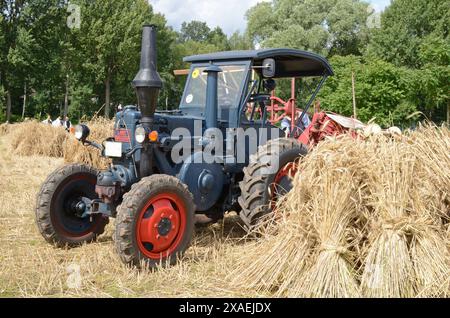 22.07.2012 Lanz Bulldog Deutschland/ Sachsen Anhalt/ Altmark/ Altmarkkreis Salzwedel/ Diesdorf/ Freilichtmuseum/ historische Getreideernte/ Traktor/ Trecker/ Lanz Bulldog/ ***Nutzung nur redaktionell*** *** 22 07 2012 Lanz Bulldog Deutschland Sachsen Anhalt Altmark Altmarkkreis Salzwedel Diesdorf Freilichtmuseum historischer Getreidetraktor Lanz Bulldog nur zu redaktionellen Zwecken verwenden Stockfoto