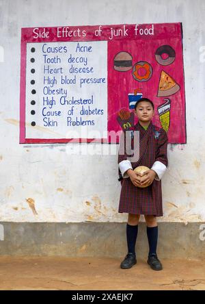 Porträt eines Jungen vor einem Mist-Food-Wandbild in der Rubesa-Grundschule, Wangdue Phodrang, Rubesagewog, Bhutan Stockfoto