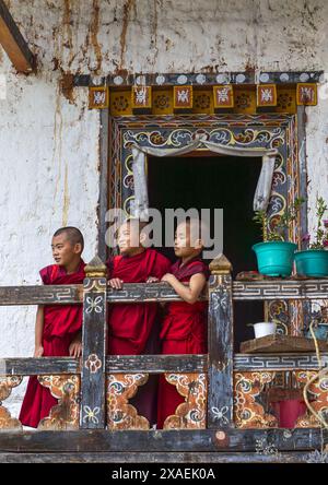 Bhutanische Novizen Mönche auf dem Balkon in Nyenzer Lhakhang, Thedtsho Gewog, Wangdue Phodrang, Bhutan Stockfoto